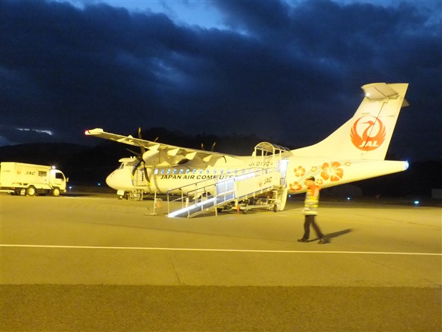 菊人形が乗ったプロペラ機6